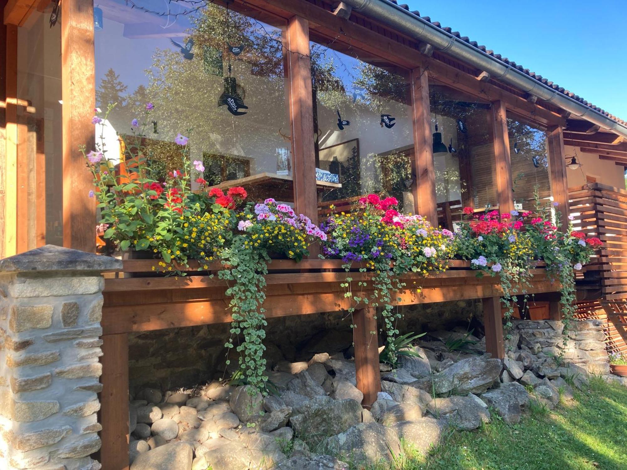 Penzion Na Habeši Kasperske Hory Exterior foto