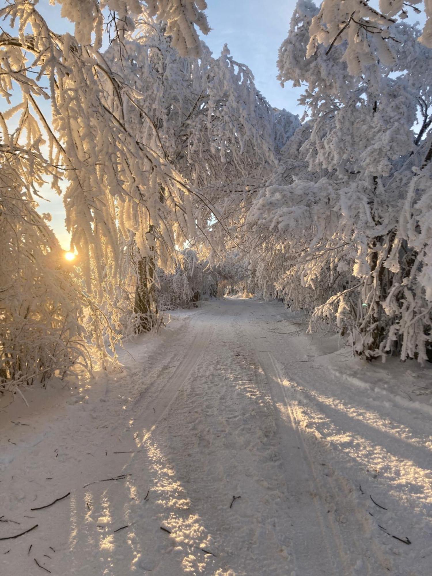Penzion Na Habeši Kasperske Hory Exterior foto