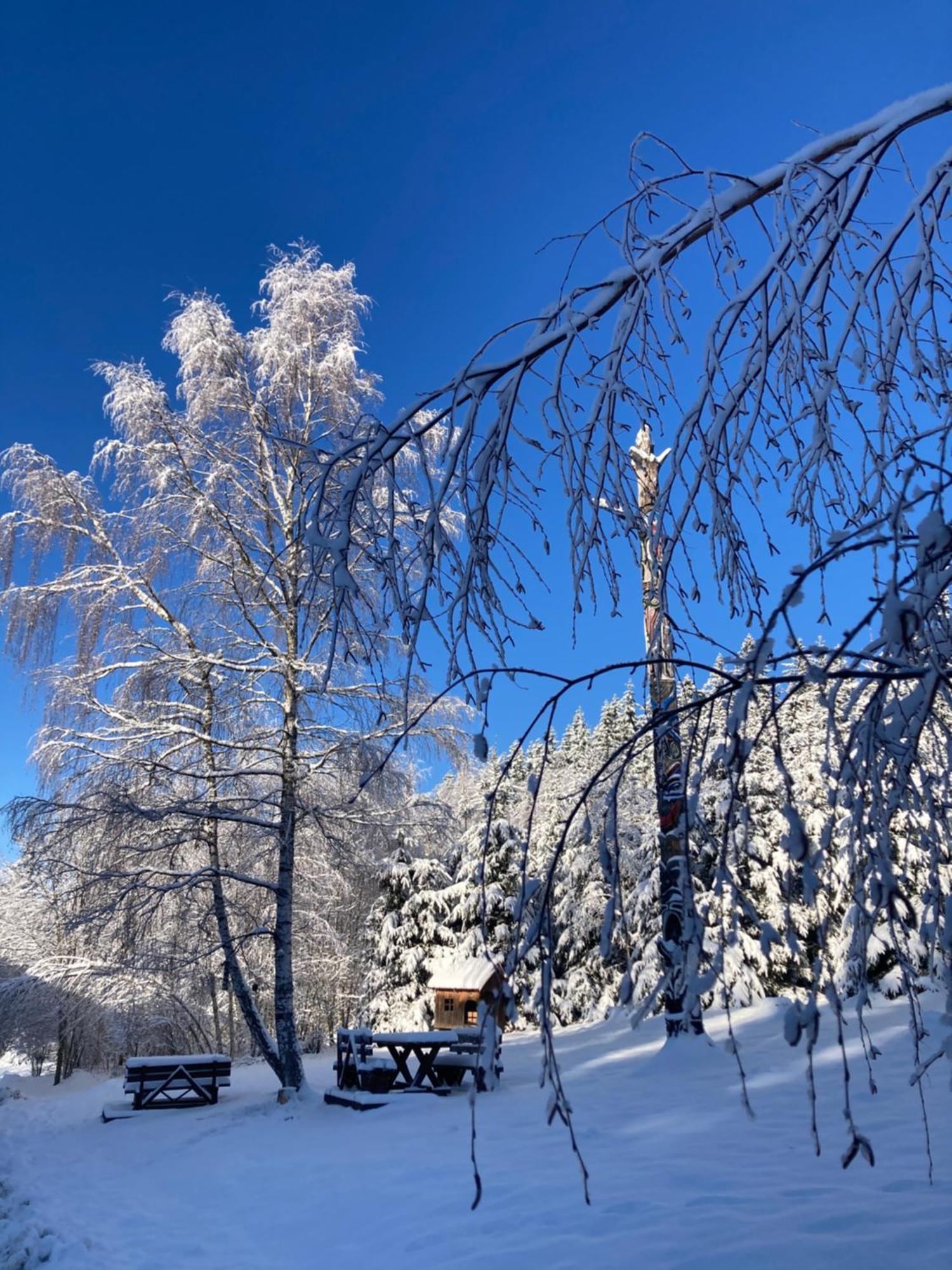 Penzion Na Habeši Kasperske Hory Exterior foto