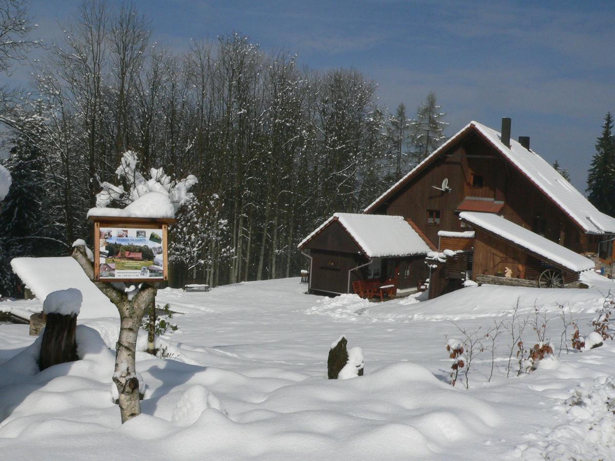 Penzion Na Habeši Kasperske Hory Exterior foto